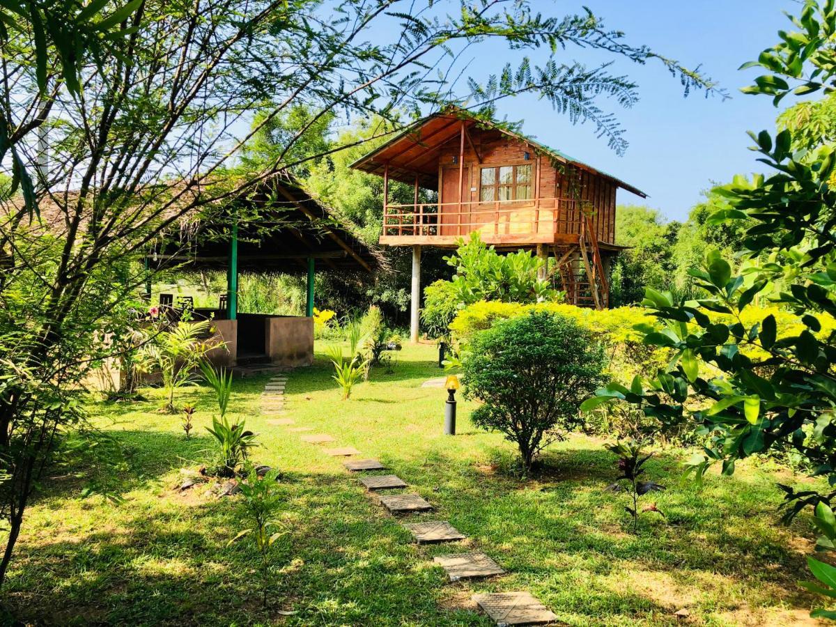 Sungreen Cottage Sigiriya Exterior photo